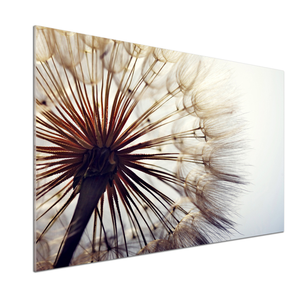 Panel dekor szkło Dmuchawiec