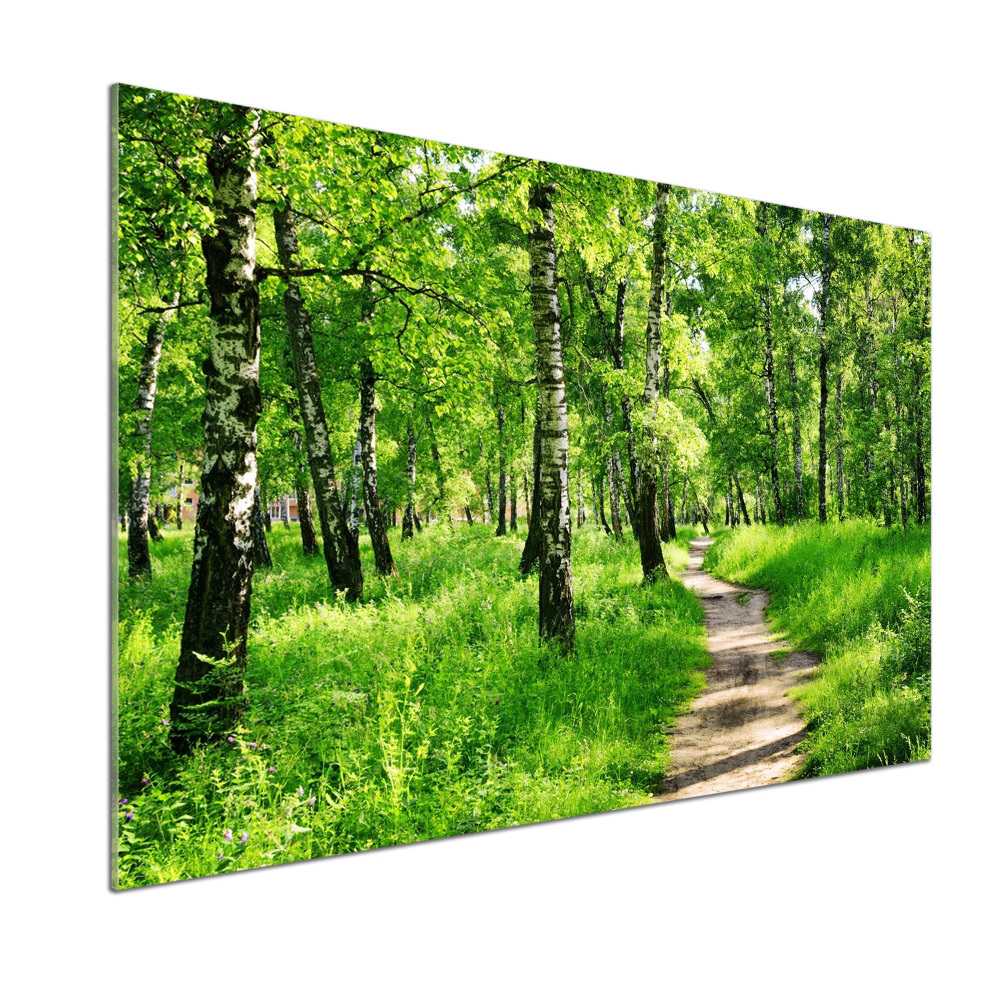 Panel dekor szkło Brzozowy las