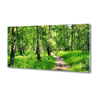 Panel dekor szkło Brzozowy las