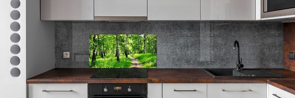 Panel dekor szkło Brzozowy las