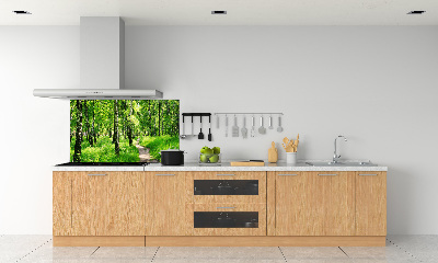 Panel dekor szkło Brzozowy las