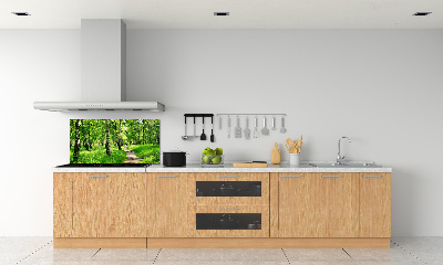 Panel dekor szkło Brzozowy las