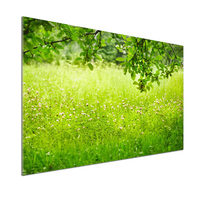 Panel dekor szkło Zielona łąka