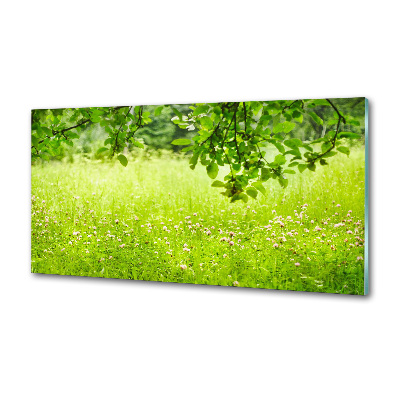 Panel dekor szkło Zielona łąka