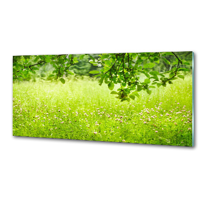 Panel dekor szkło Zielona łąka