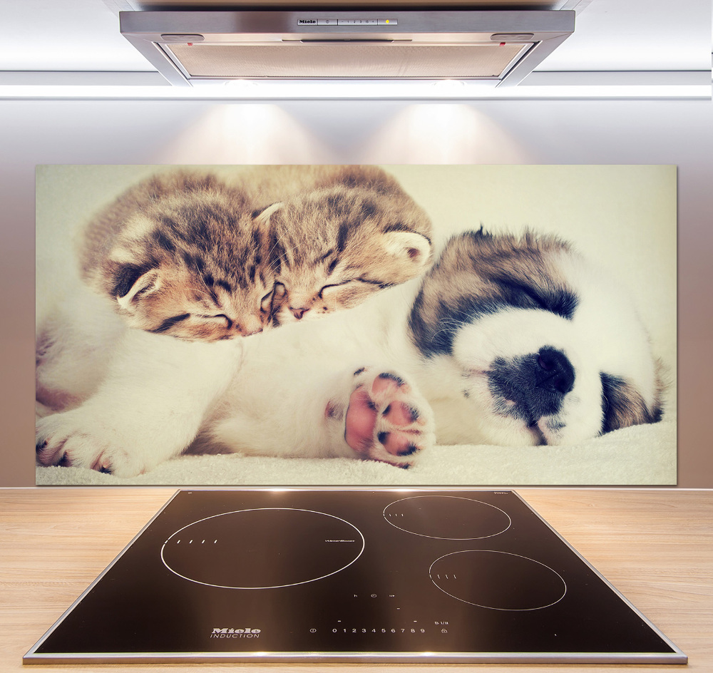 Panel do kuchni Dwa koty i pies