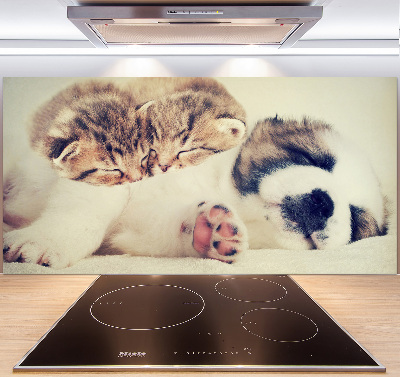 Panel do kuchni Dwa koty i pies
