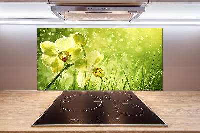 Panel między meble w kuchni Orchidea