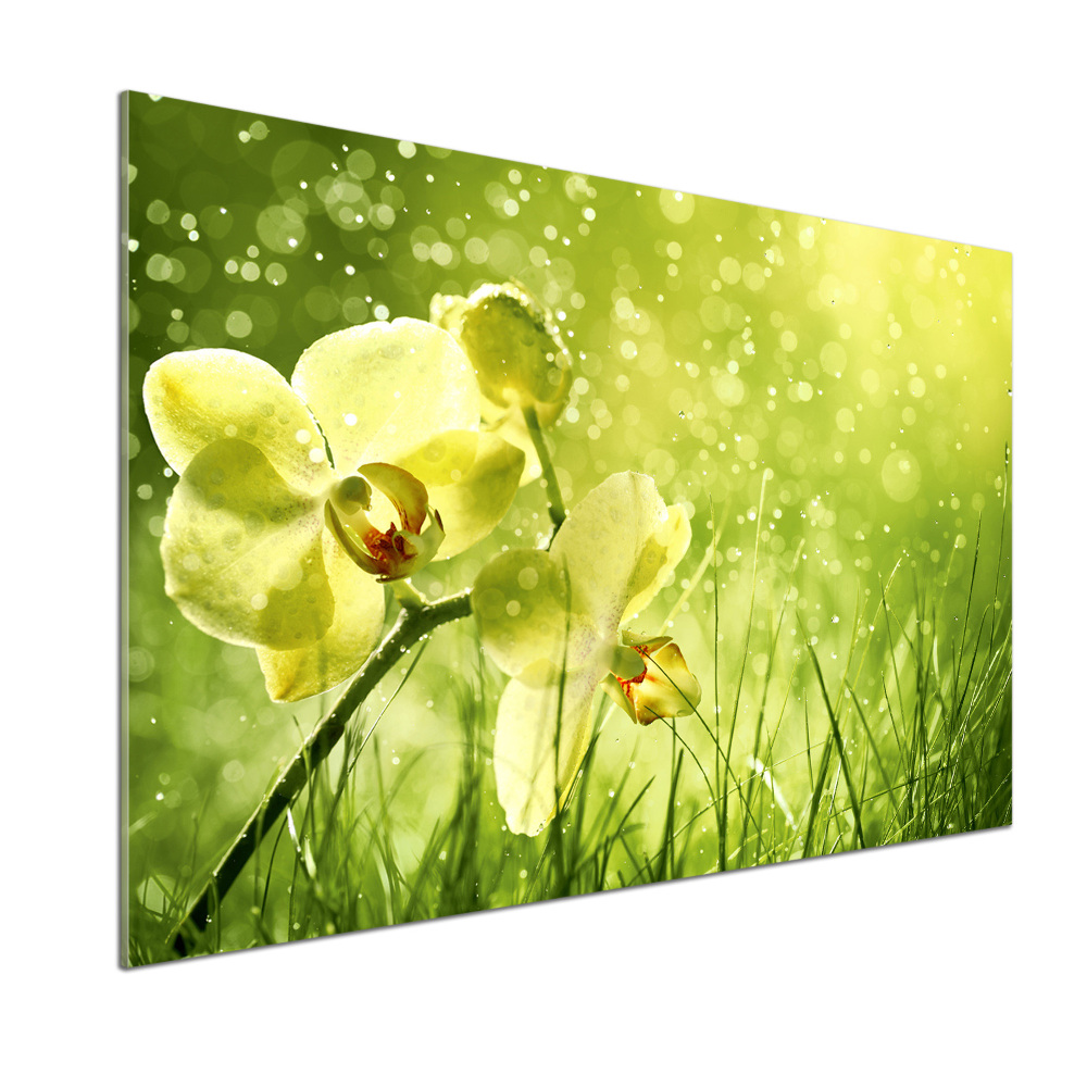 Panel między meble w kuchni Orchidea