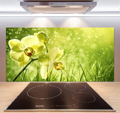 Panel między meble w kuchni Orchidea