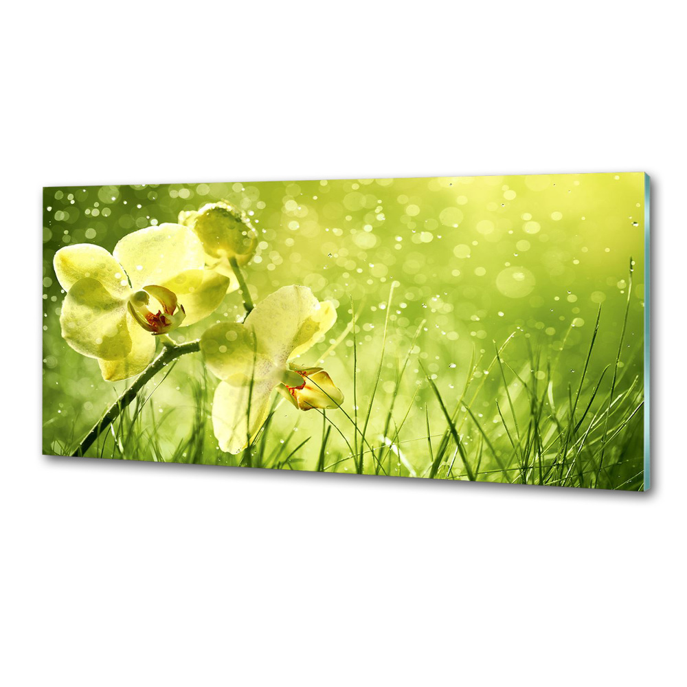 Panel między meble w kuchni Orchidea
