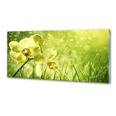 Panel między meble w kuchni Orchidea