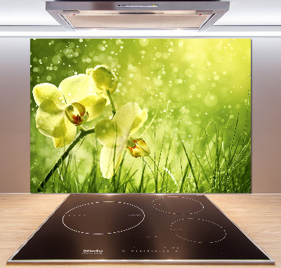 Panel między meble w kuchni Orchidea