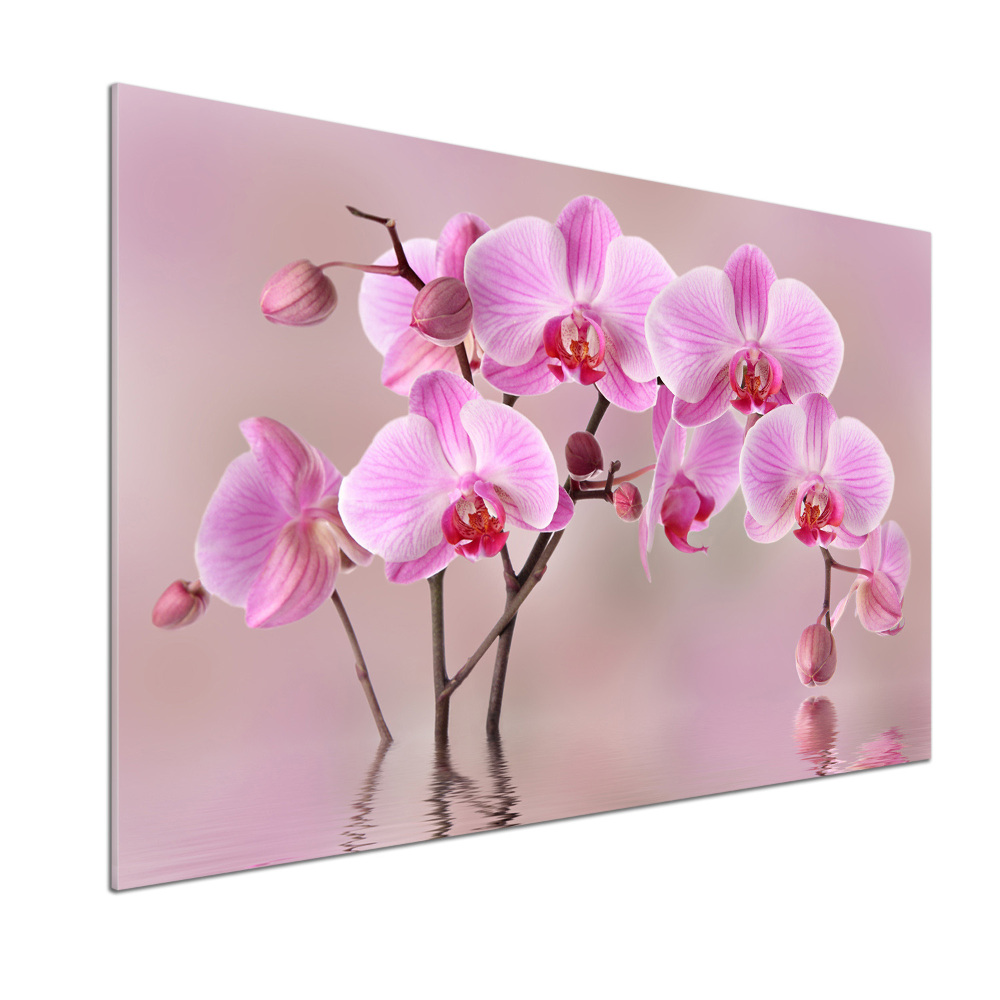 Panel do kuchni Różowa orchidea