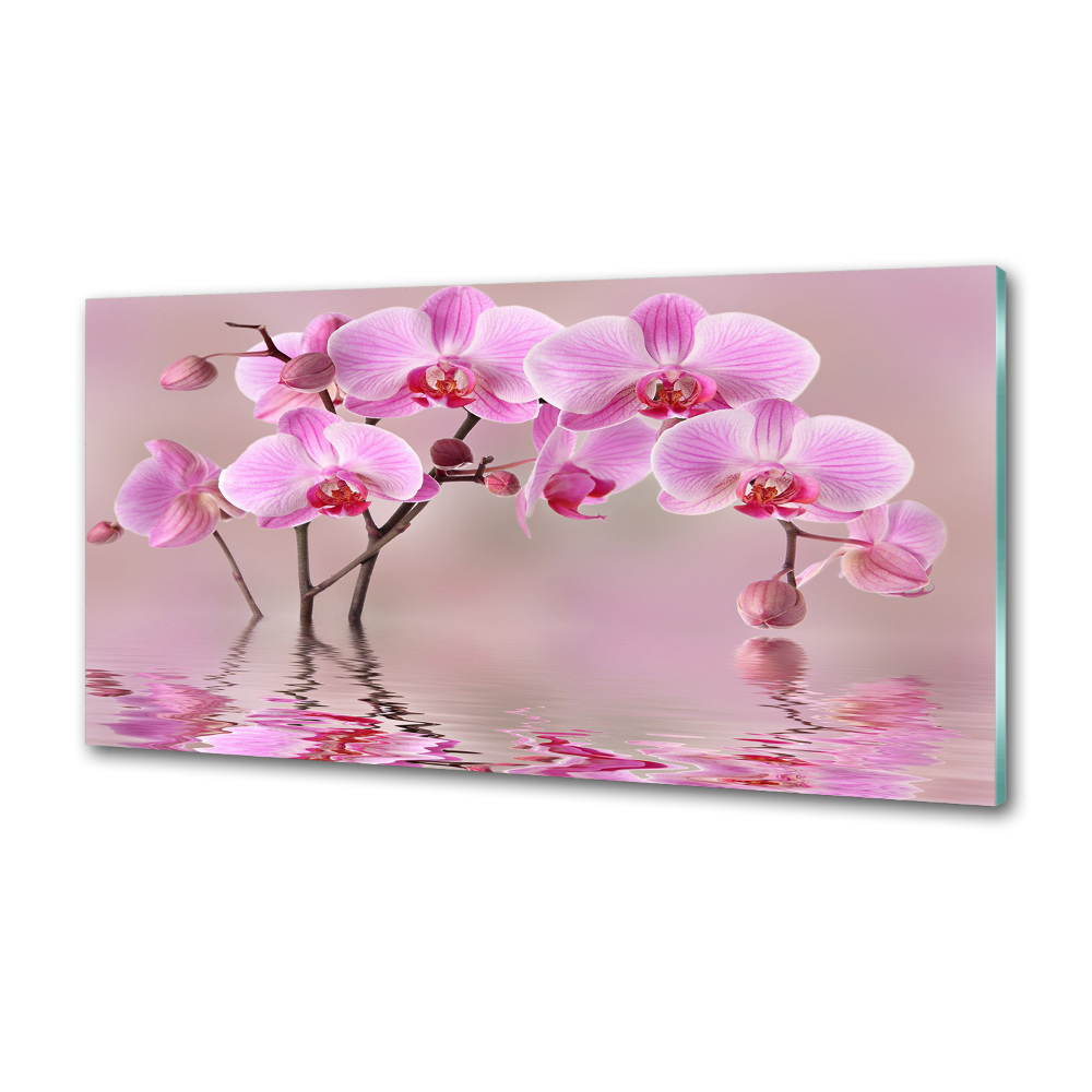 Panel do kuchni Różowa orchidea