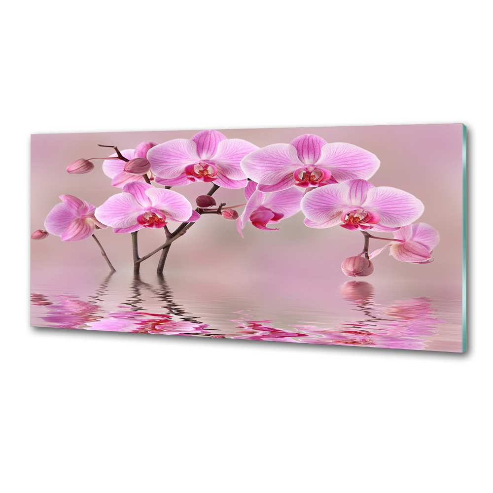 Panel do kuchni Różowa orchidea