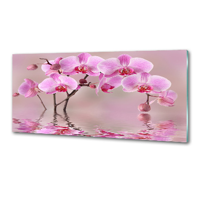 Panel do kuchni Różowa orchidea