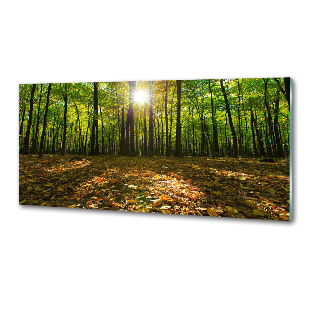Panel szkło hartowane do kuchni Las