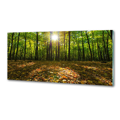 Panel szkło hartowane do kuchni Las
