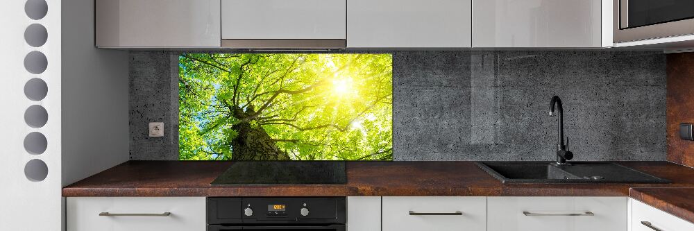 Panel do kuchni Kasztan wiosną