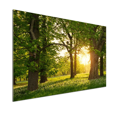 Panel do kuchni Drzewa w parku