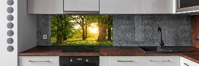Panel do kuchni Drzewa w parku