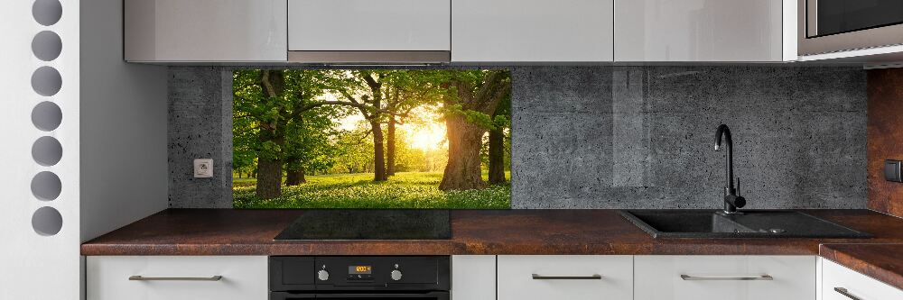 Panel do kuchni Drzewa w parku