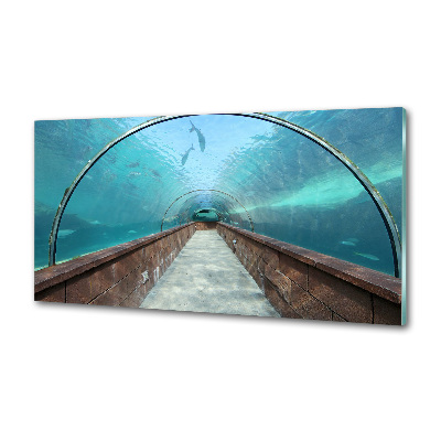 Panel do kuchni Tunel akwarium