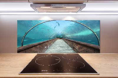 Panel do kuchni Tunel akwarium