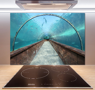 Panel do kuchni Tunel akwarium