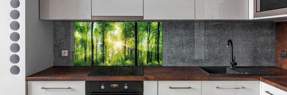 Panel dekor szkło Las w słońcu