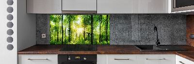 Panel dekor szkło Las w słońcu