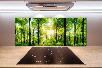 Panel dekor szkło Las w słońcu