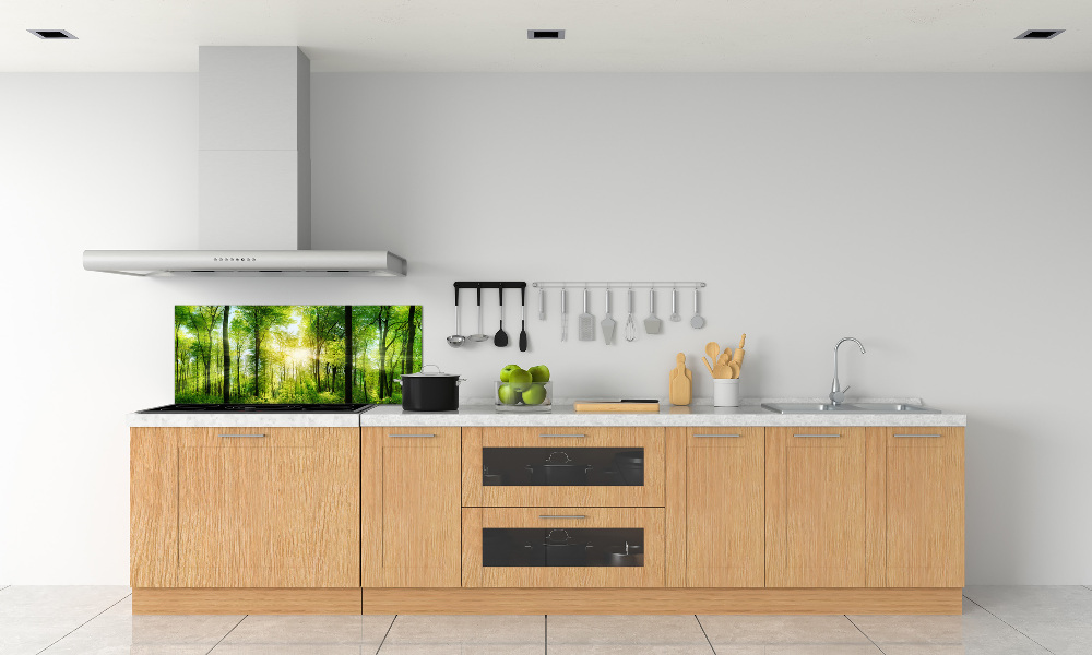 Panel dekor szkło Las w słońcu