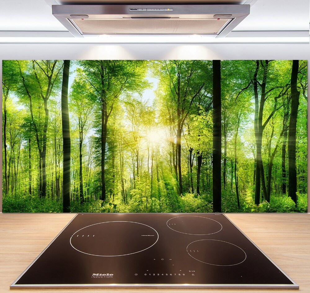 Panel dekor szkło Las w słońcu
