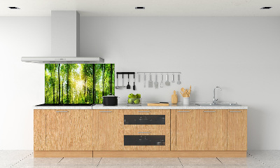 Panel dekor szkło Las w słońcu