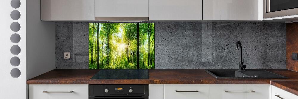 Panel dekor szkło Las w słońcu