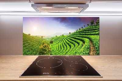 Panel do kuchni Plantacja herbaty