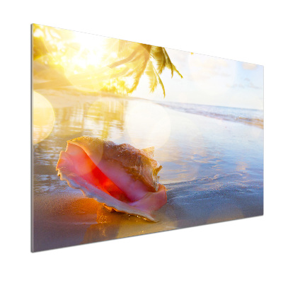 Panel do kuchni Muszla na plaży
