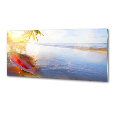 Panel do kuchni Muszla na plaży