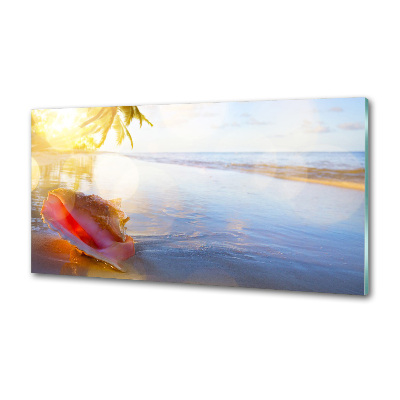 Panel do kuchni Muszla na plaży