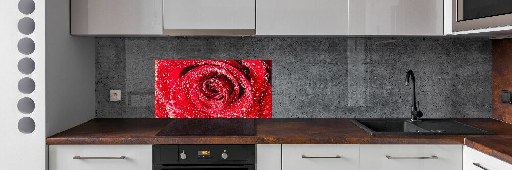 Panel lacobel Krople wody na róży