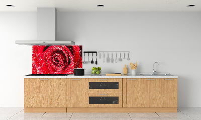 Panel lacobel Krople wody na róży
