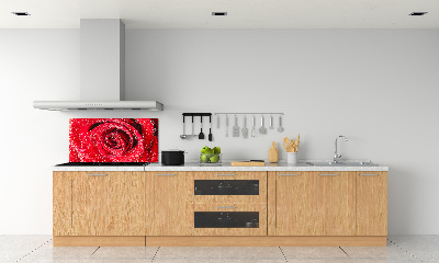 Panel lacobel Krople wody na róży