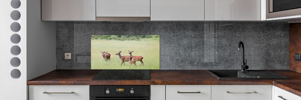 Panel do kuchni Sarny z młodymi