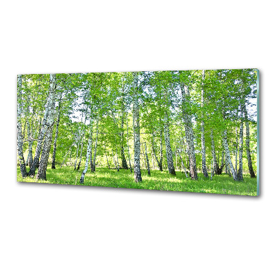 Panel szklany do kuchni Brzozy