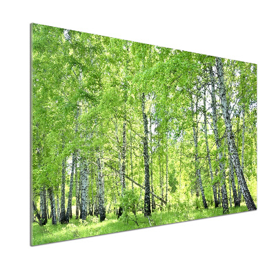Panel dekor szkło Las brzozowy