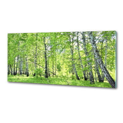 Panel dekor szkło Las brzozowy
