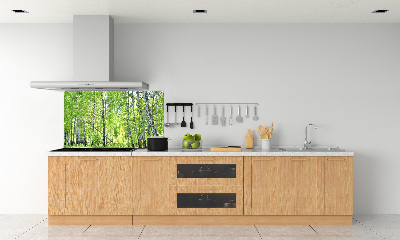 Panel dekor szkło Las brzozowy