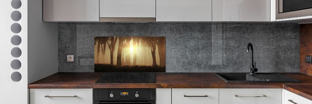 Panel dekor szkło Mgła w lesie